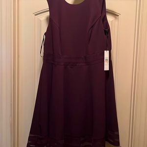 Purple Calvin Klein Dress
